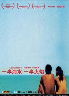 一半海水一半火焰 (2008)